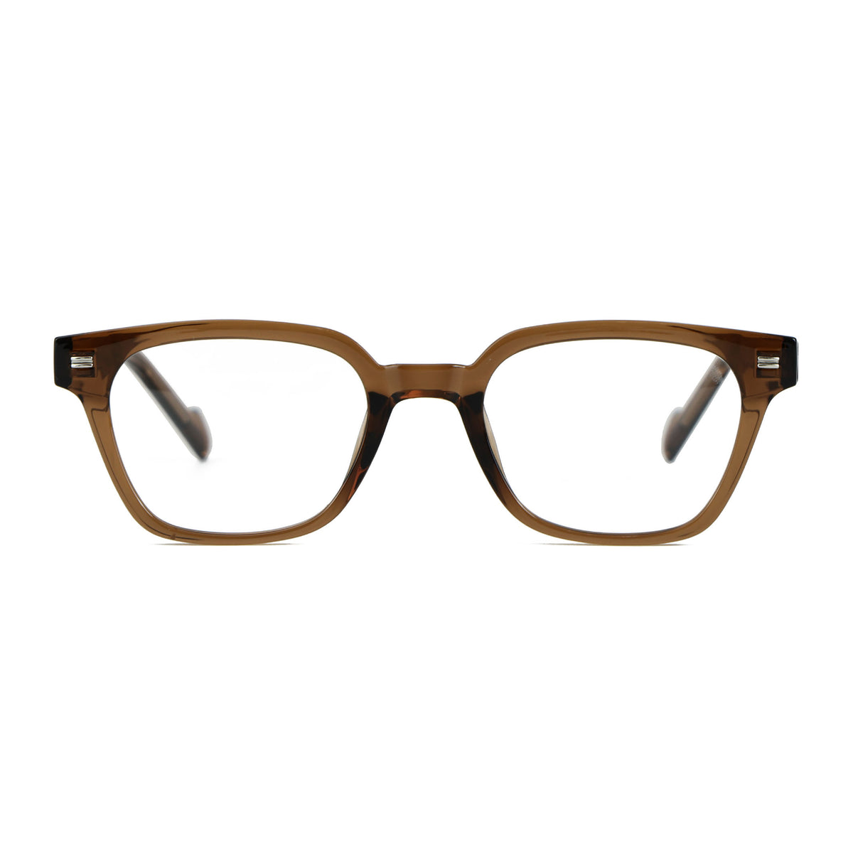 Solen Brownish