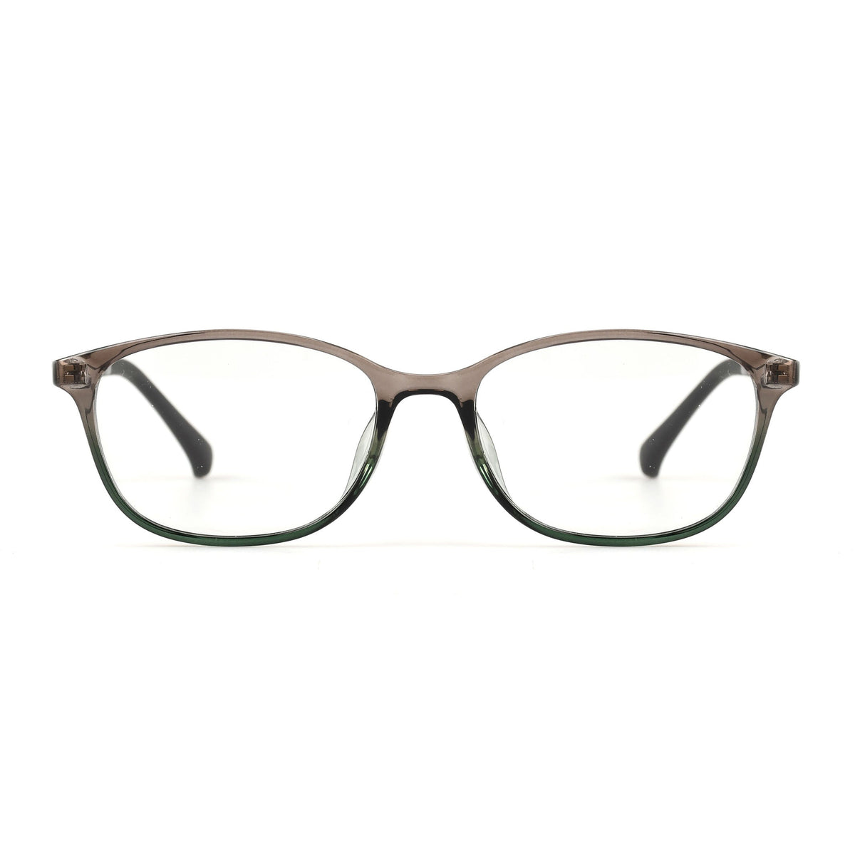Harmonia Olive